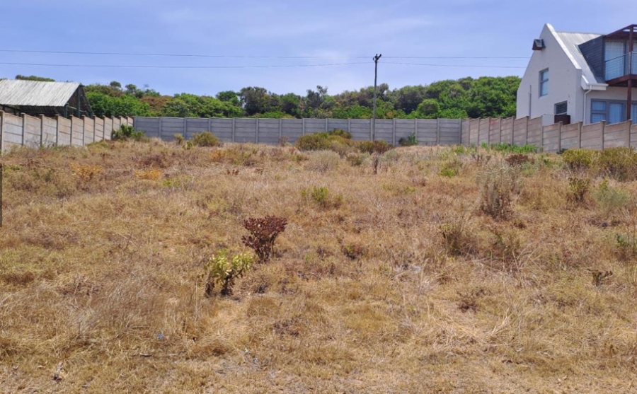 0 Bedroom Property for Sale in Jongensfontein Western Cape